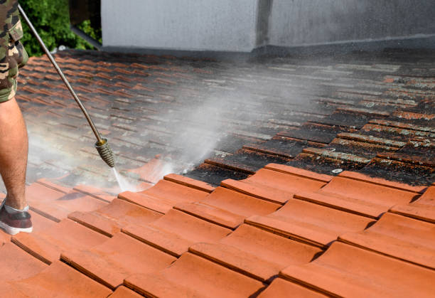 Professional Pressure Washing in Greenville, GA