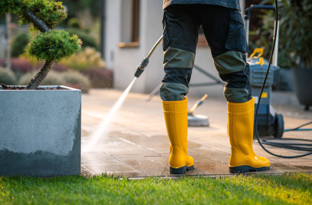 Best House Pressure Washing  in Greenville, GA